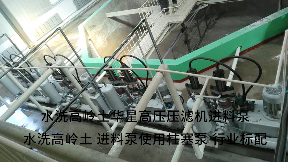 水洗高嶺土高壓壓濾機(jī)進(jìn)料泵3