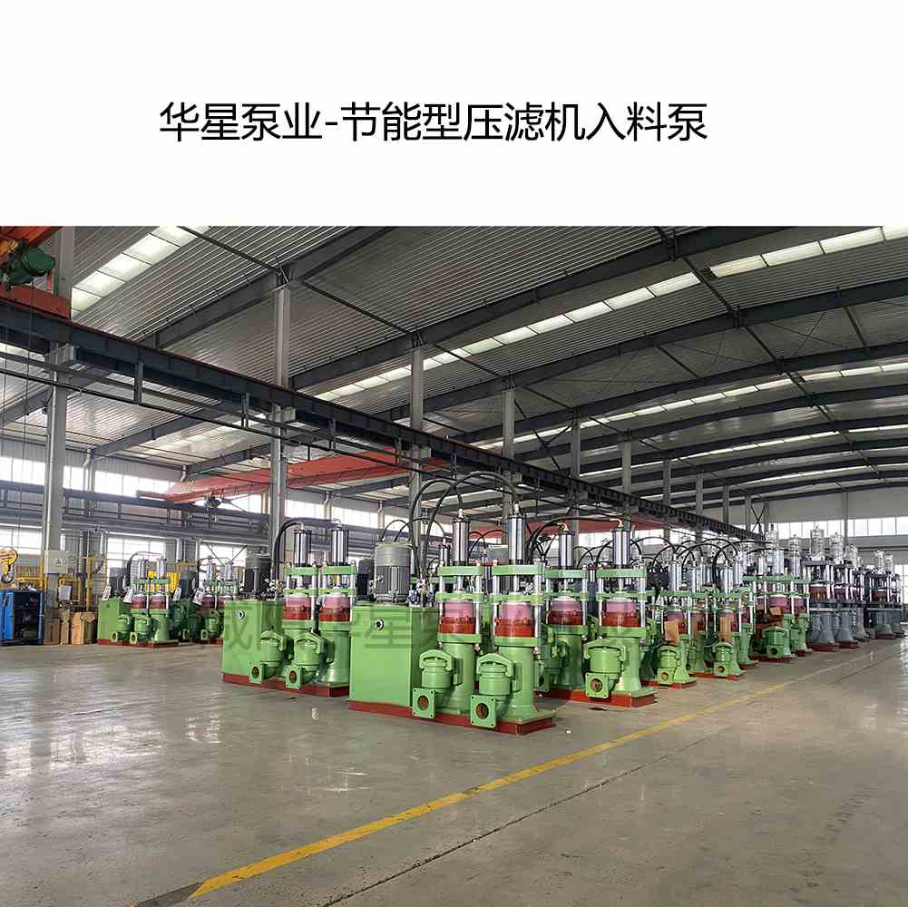 華星泵業(yè)-節(jié)能型壓濾機(jī)入料泵